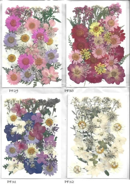 Pressed flowers